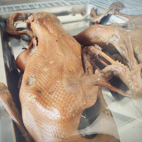 Roast goose / waterfowl